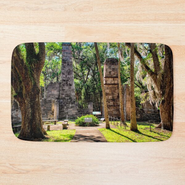Item preview, Bulow Plantation Ruins Historic State Park - Florida designed and sold by Kathy Weaver.