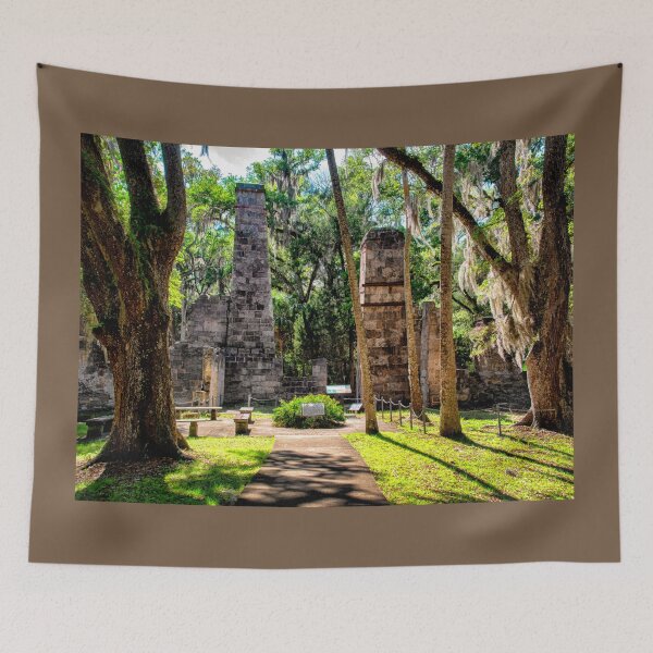 Item preview, Bulow Plantation Ruins Historic State Park - Florida designed and sold by Kathy Weaver.