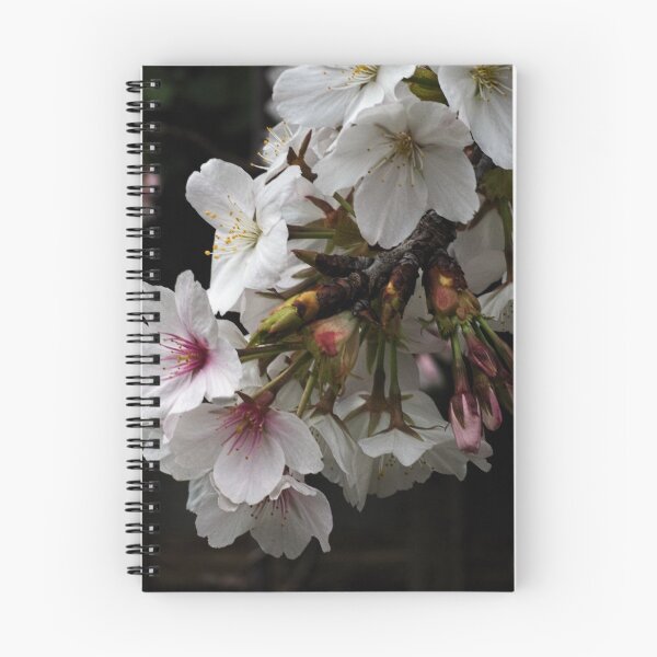 Item preview, New Cherry Blossom Leith Park Victoria 20170927 1386  designed and sold by Fred Mitchell.