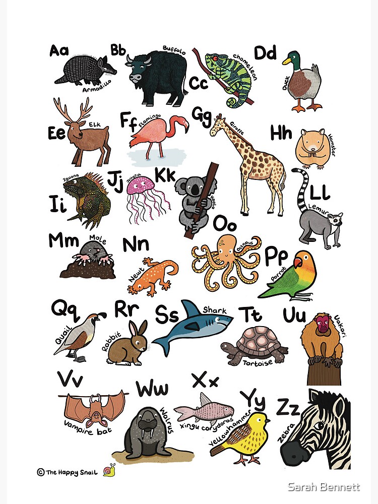 Animal Alphabet Poster - Wonderful Whirl