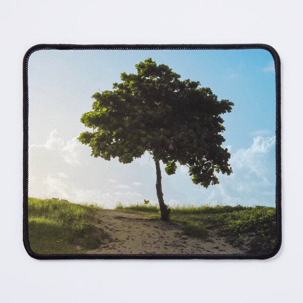 Item preview, isolated tree at sunrise in a blue sky designed and sold by willamsharking.