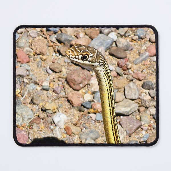 Item preview, On High Alert designed and sold by Vicki Pelham.