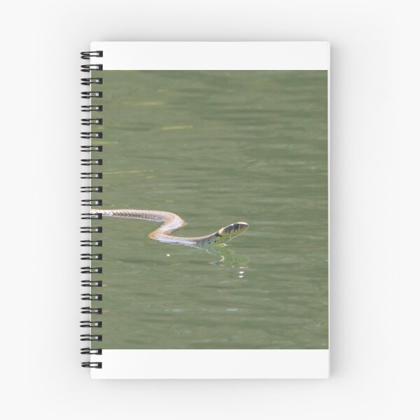Item preview, Grass Snake designed and sold by LaurenTucker.