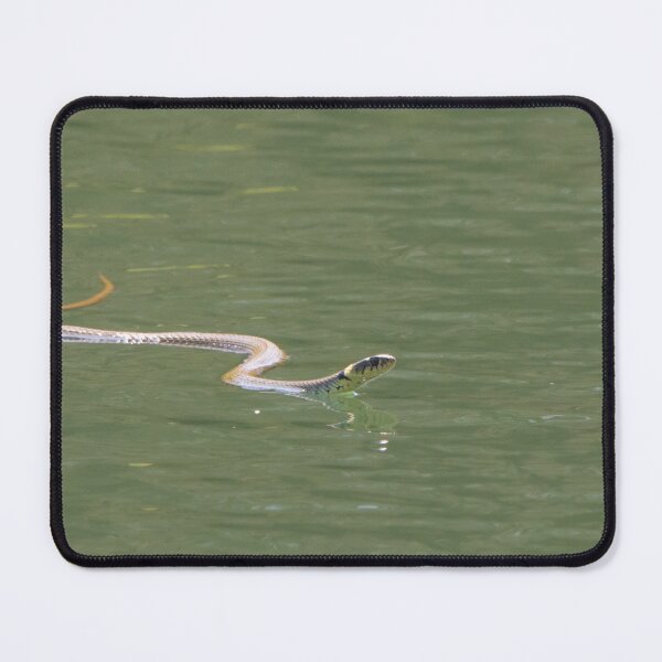 Item preview, Grass Snake designed and sold by LaurenTucker.