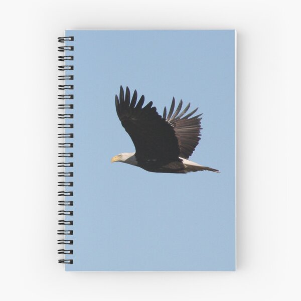 Item preview, Bald Eagle in Flight designed and sold by Timothy Gass.