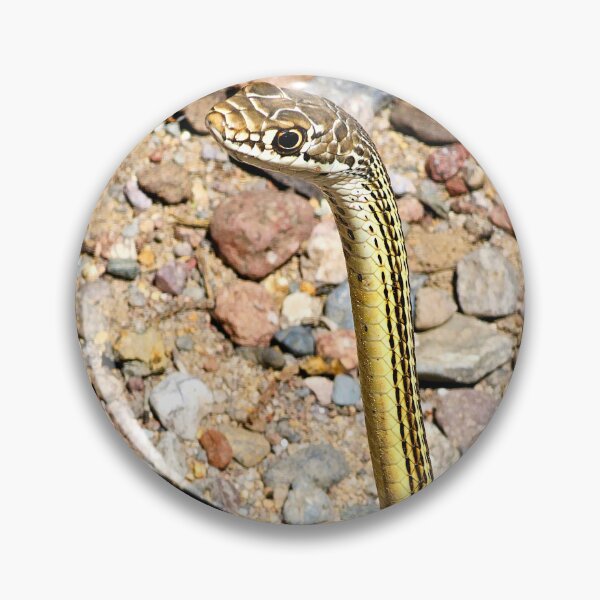 Item preview, On High Alert designed and sold by Vicki Pelham.