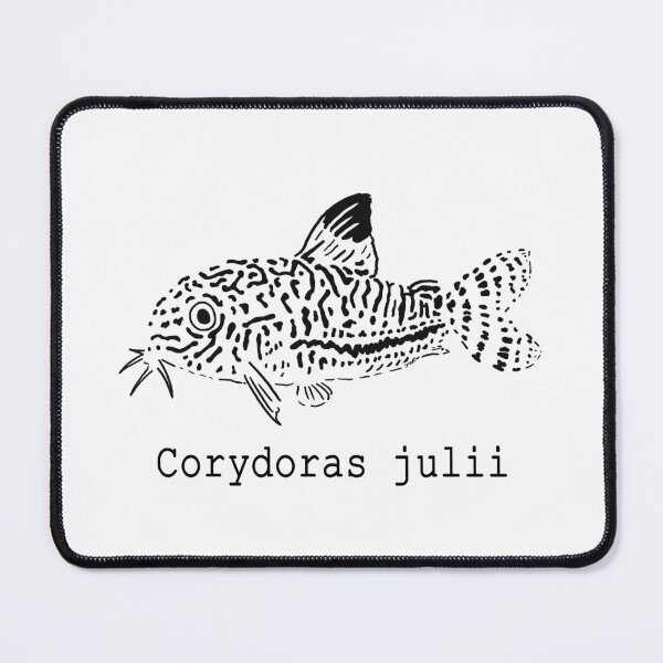 Item preview, Corydoras julii designed and sold by YukoPenguinmaru.