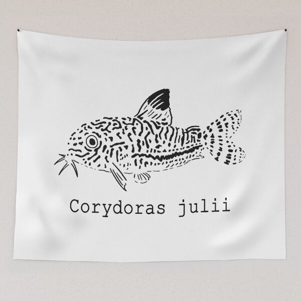 Item preview, Corydoras julii designed and sold by YukoPenguinmaru.