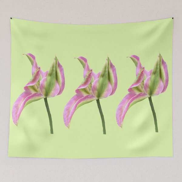 Item preview, 3 pink-green tulips with a light yellow-green background designed and sold by Binas-gallery.