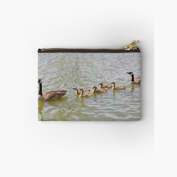 Item preview, Family Swim: Family of Canadian Geese Swimming designed and sold by CommandoCrane.