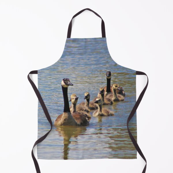 Item preview, Coming At Ya! : Family of Canadian Geese Headed Back After Swim designed and sold by CommandoCrane.