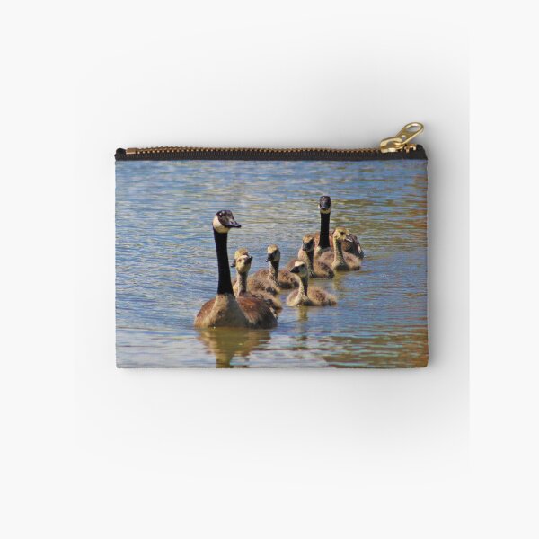 Item preview, Coming At Ya! : Family of Canadian Geese Headed Back After Swim designed and sold by CommandoCrane.