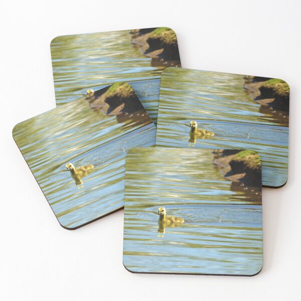 Item preview, Photograph of Single Gosling Swimming designed and sold by CommandoCrane.
