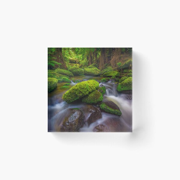 Item preview, Otways Rainforest designed and sold by paulmp.