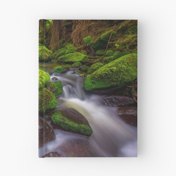 Item preview, Otways Rainforest designed and sold by paulmp.