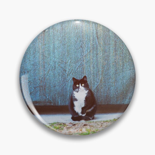 Item preview, Bicolor kitty designed and sold by Silvia Ganora.