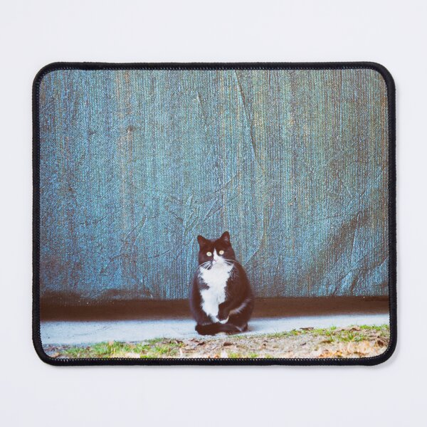 Item preview, Bicolor kitty designed and sold by Silvia Ganora.