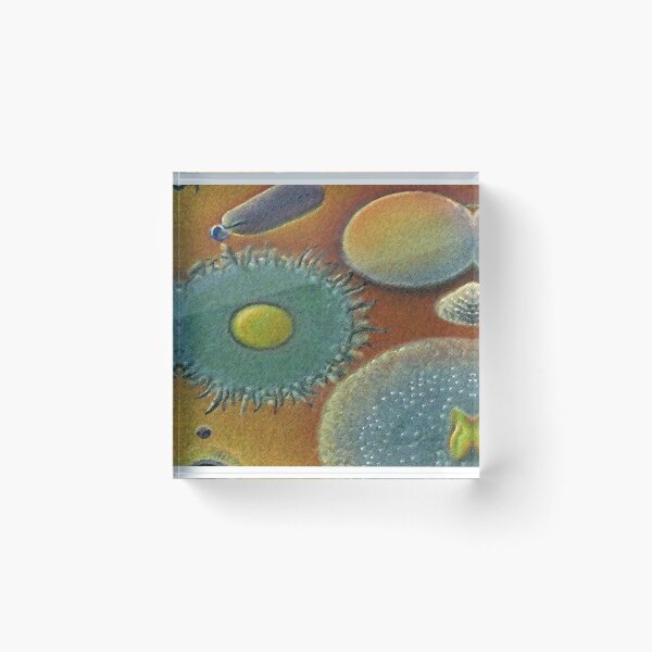 Item preview, Microscopic Organisms designed and sold by EvasDreams.