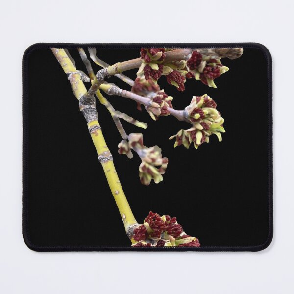 Item preview, Graceful branch designed and sold by Susan Gallup.