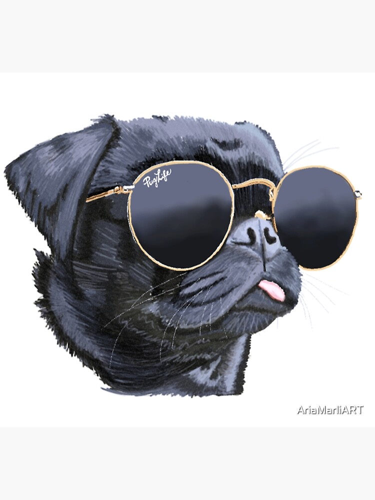 Pug cheap wearing sunglasses