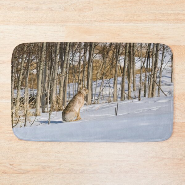 Item preview, On one bright day. European hare designed and sold by Jouko Lehto Photography.