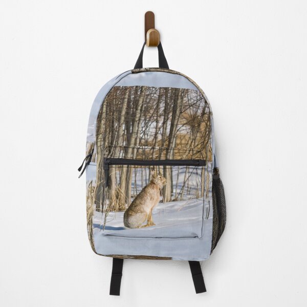 Item preview, On one bright day. European hare designed and sold by Jouko Lehto Photography.