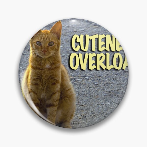 Artikelvorschau, Das Leben einer Katze entworfen und verkauft von likbatonboot.