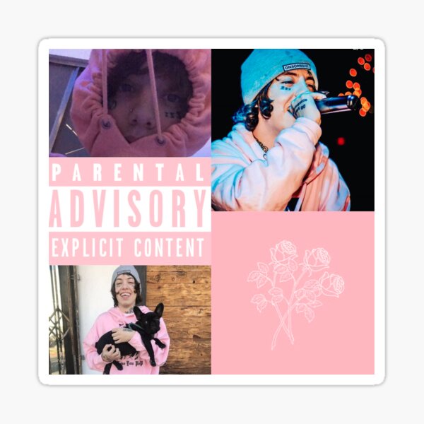 "Lil Xan Pink Roses" Sticker for Sale by crybabykora Redbubble