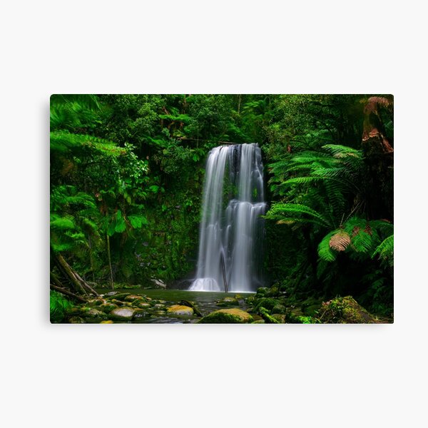 Item preview, Beauchamp Falls, Otways, Victoria designed and sold by paulmp.