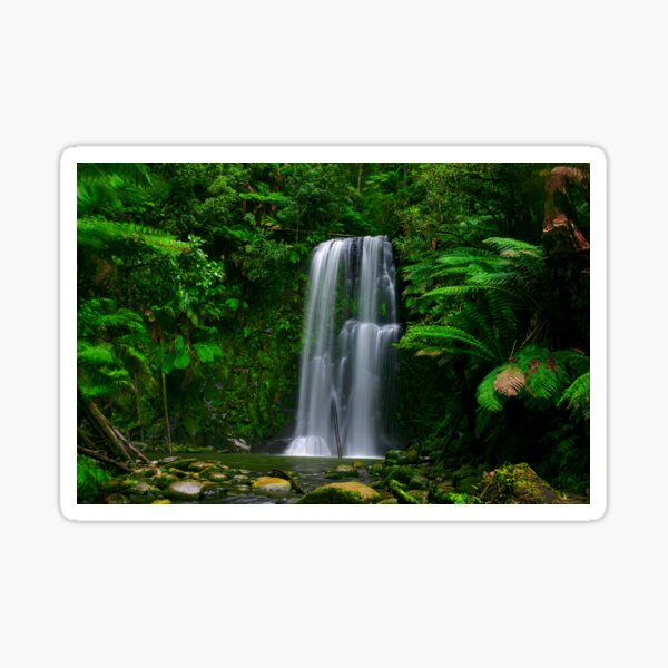 Item preview, Beauchamp Falls, Otways, Victoria designed and sold by paulmp.