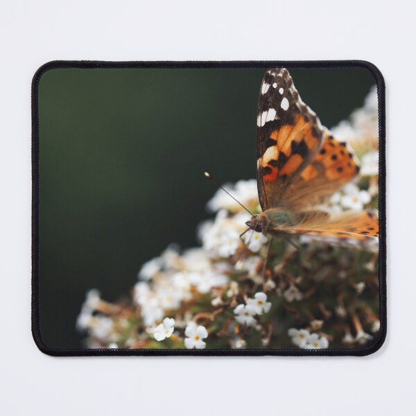 Item preview, Painted Lady Butterfly sitting on a Butterfly-bush designed and sold by KimVanG.