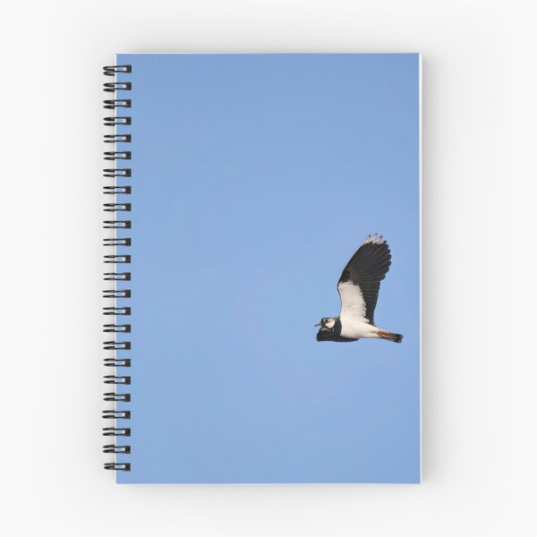 Item preview, Skylap. Northern lapwing designed and sold by Jouko Lehto Photography.