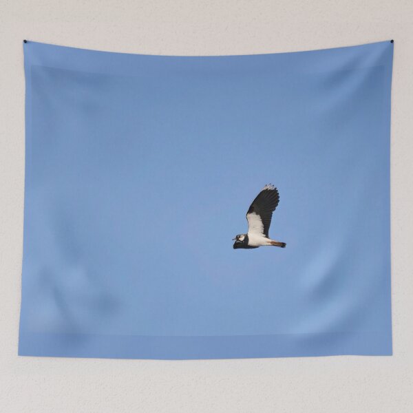 Item preview, Skylap. Northern lapwing designed and sold by Jouko Lehto Photography.