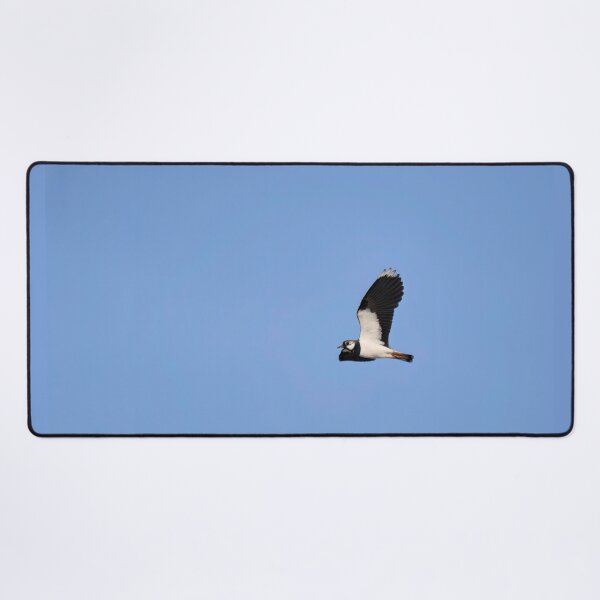 Item preview, Skylap. Northern lapwing designed and sold by Jouko Lehto Photography.