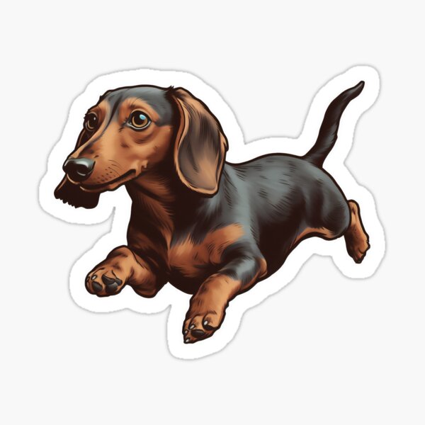  iPhone X/XS Dachshund Weightlifting Funny Deadlift Men Fitness  Gym Gifts Case : Cell Phones & Accessories