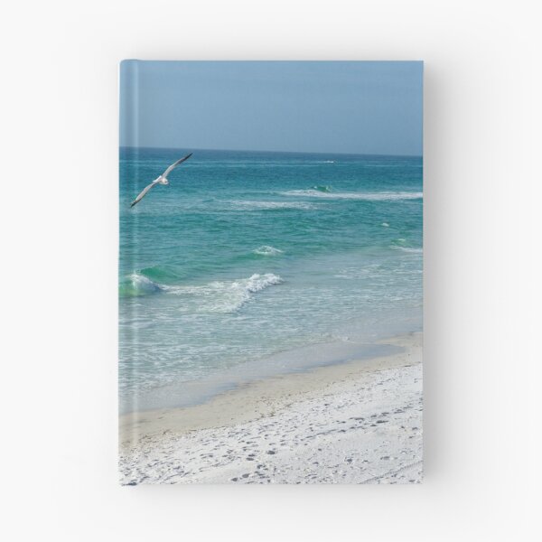 Item preview, Seagull In Flight Over The Gulf designed and sold by TinyDinoDesigns.