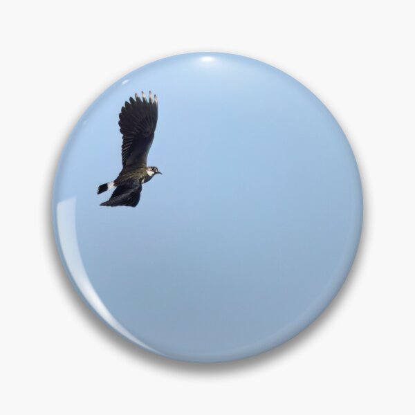 Item preview, Turn right. Northern lapwing designed and sold by Jouko Lehto Photography.