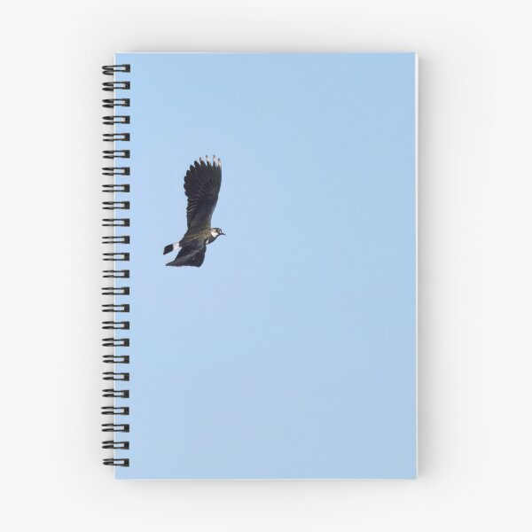 Item preview, Turn right. Northern lapwing designed and sold by Jouko Lehto Photography.