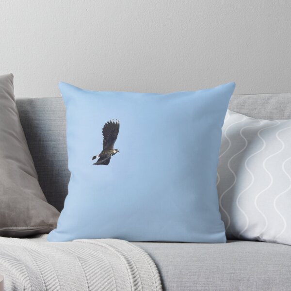 Item preview, Turn right. Northern lapwing designed and sold by Jouko Lehto Photography.
