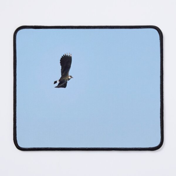Item preview, Turn right. Northern lapwing designed and sold by Jouko Lehto Photography.