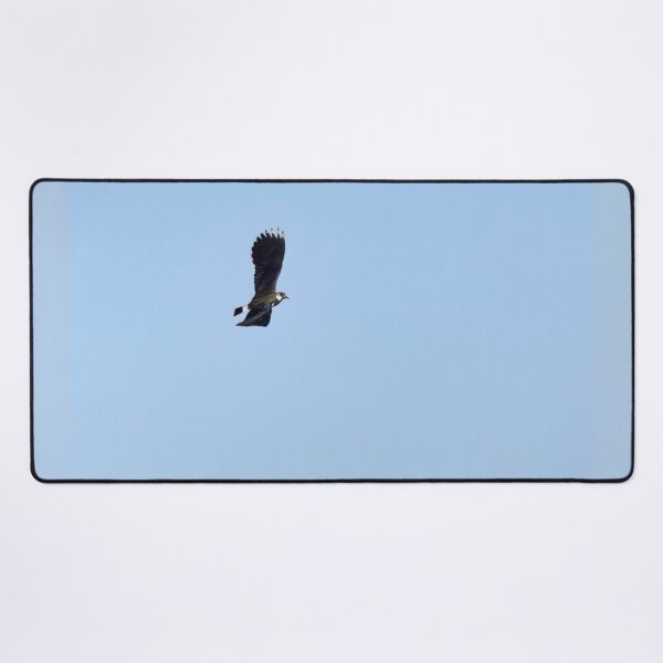 Item preview, Turn right. Northern lapwing designed and sold by Jouko Lehto Photography.