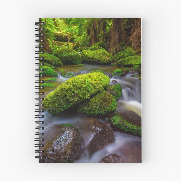 Item preview, Otways Rainforest designed and sold by paulmp.