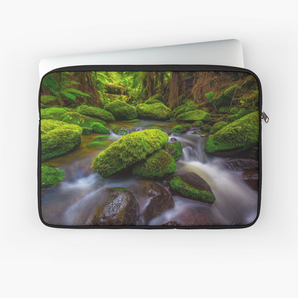 Item preview, Laptop Sleeve designed and sold by paulmp.