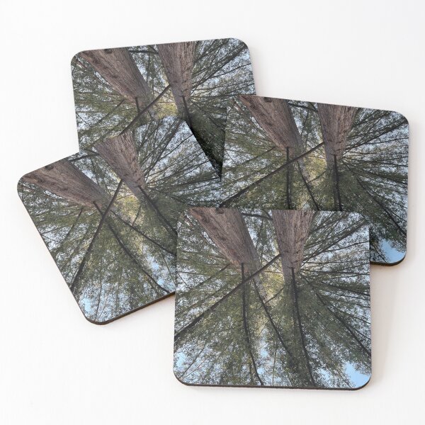 Item preview, Redwoods at UC Santa Cruz designed and sold by PinesandPalms.