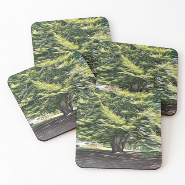 Item preview, Jamestwon Beech Tree designed and sold by stmatthewsri.