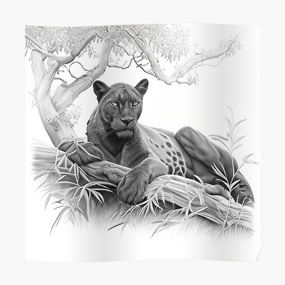 Black Panther Drawing, PNG, 825x738px, Black Panther, Art, Big Cats, Black,  Black And White Download Free