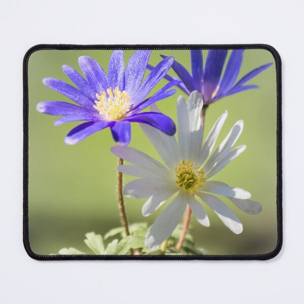 Item preview, The woodland three designed and sold by JEZ22.