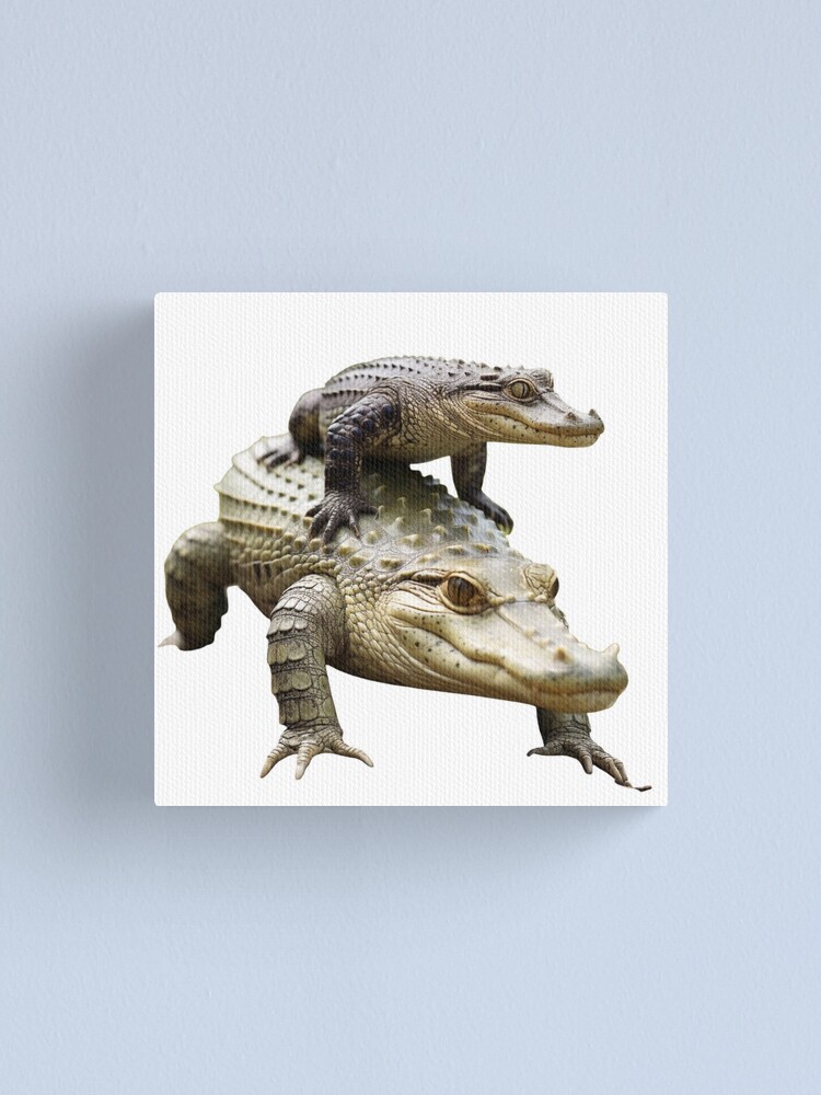 Big blue Gator Canvas Print