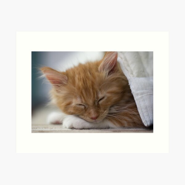 Valletta asleep Art Print