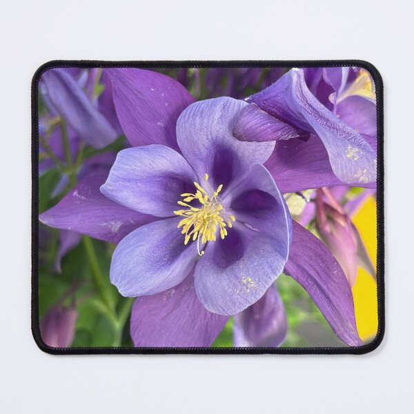 Item preview, Aquilegia vulgaris designed and sold by Ponted.